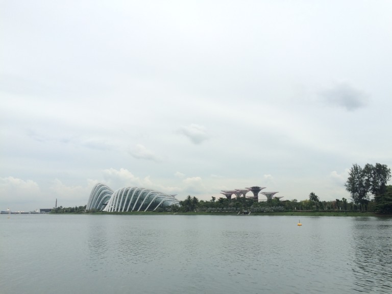 Gardens by the Bay as seen from the Esplanade